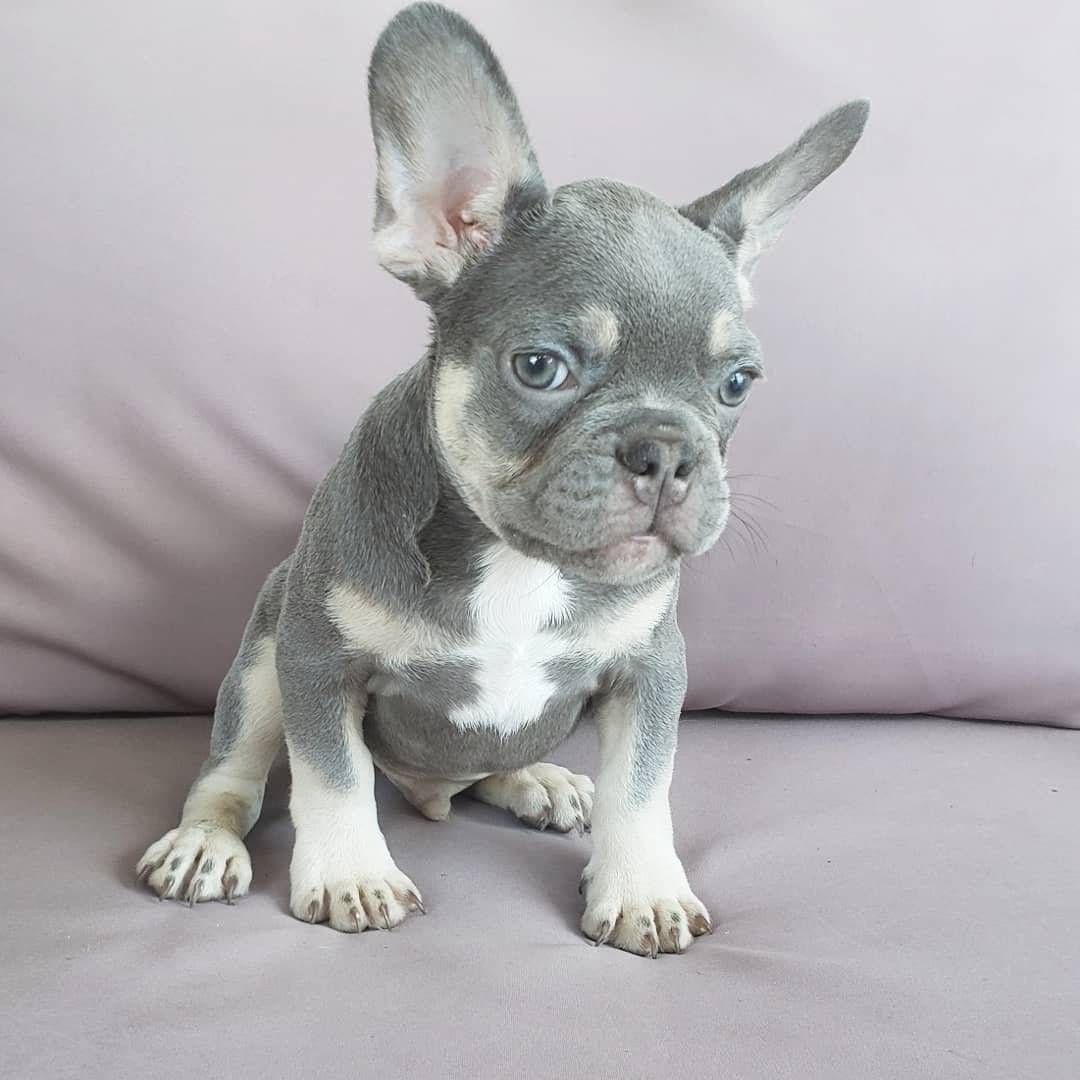 Cooper - Image 2
