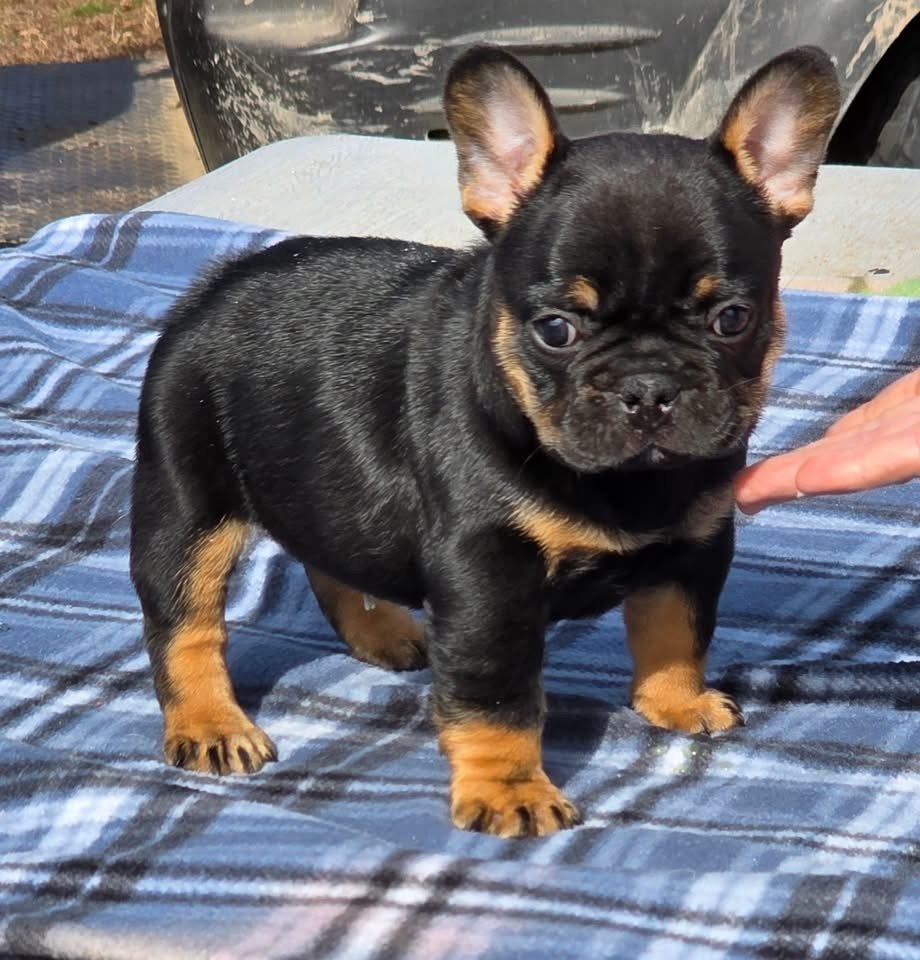 Pablo