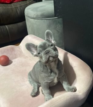 Suzie