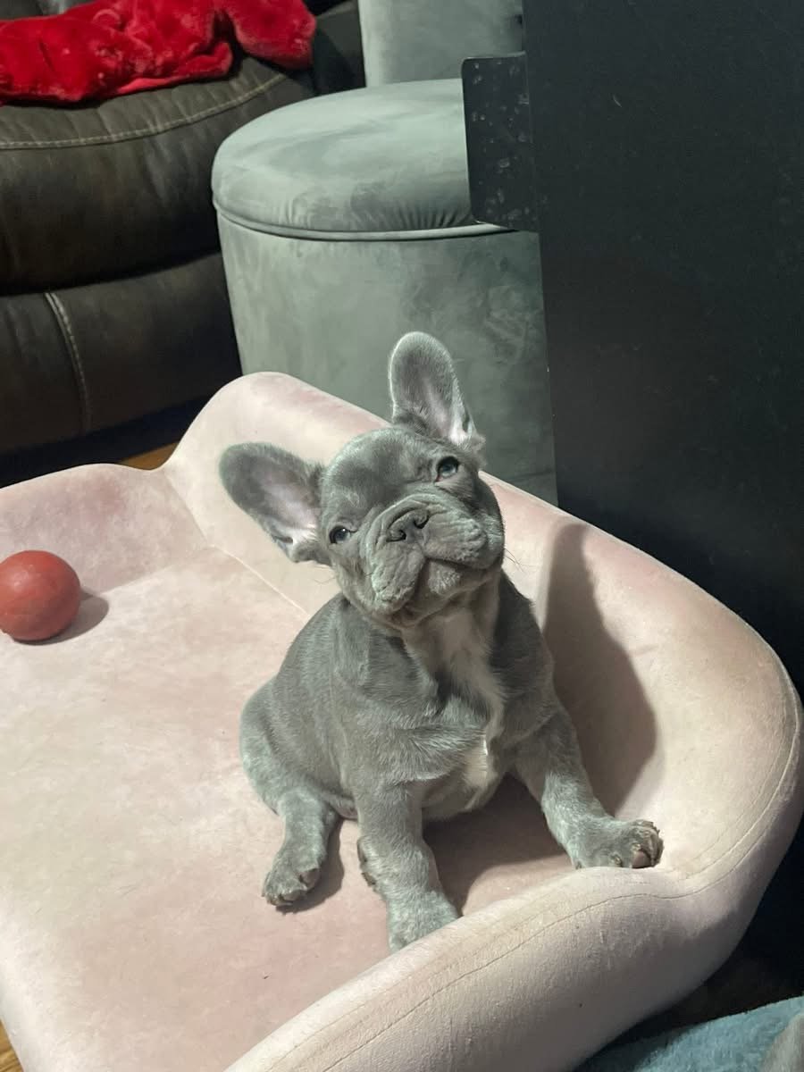 Suzie
