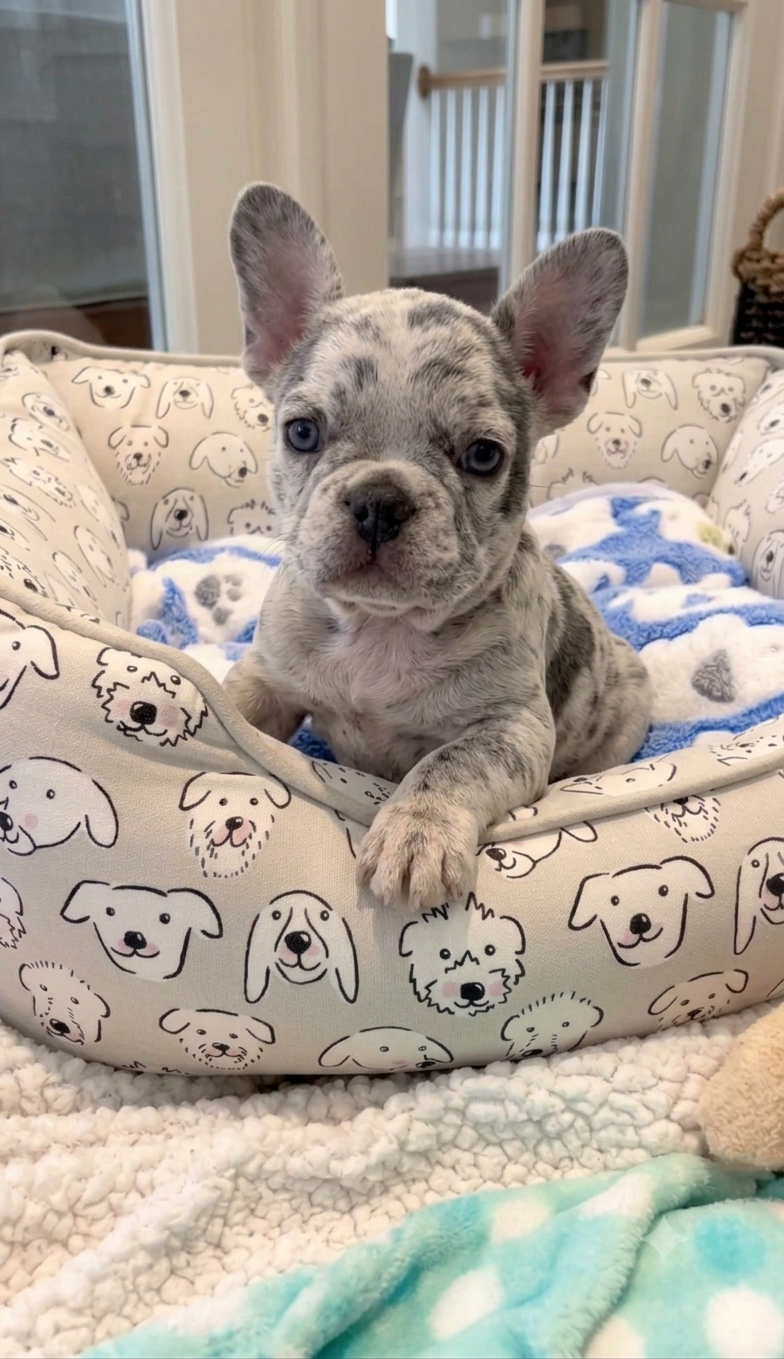 Billy