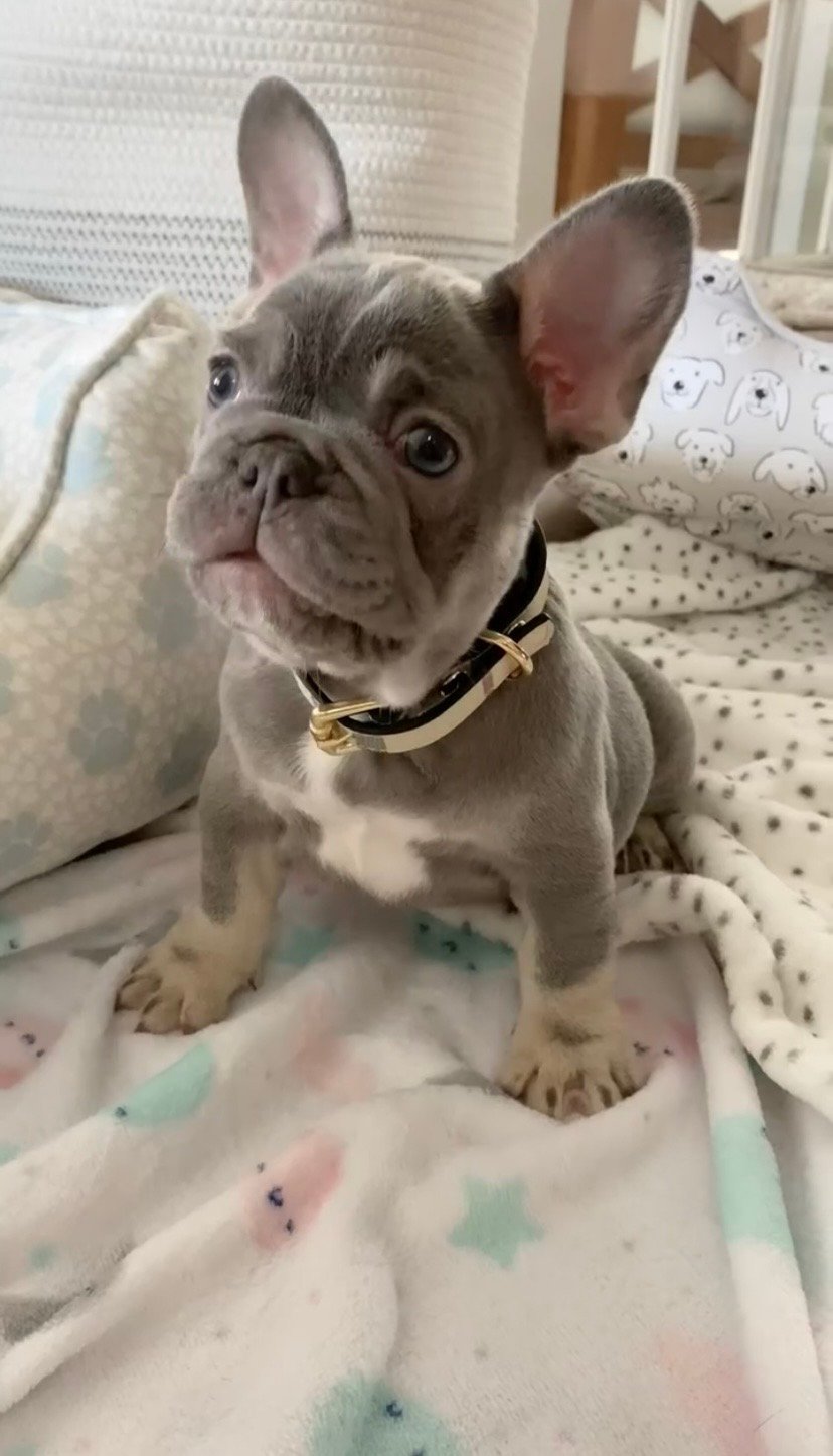 Max